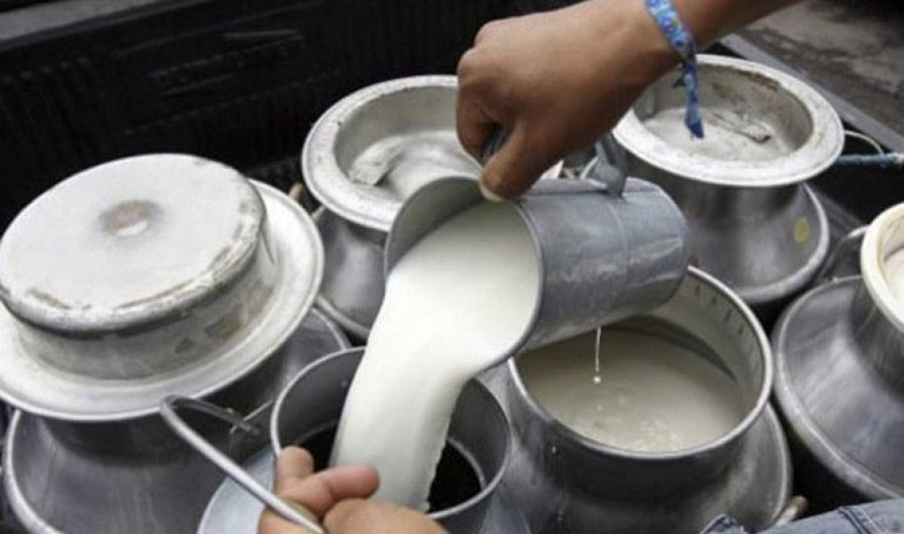 Dairy industry incurring losses of Rs 100 million daily