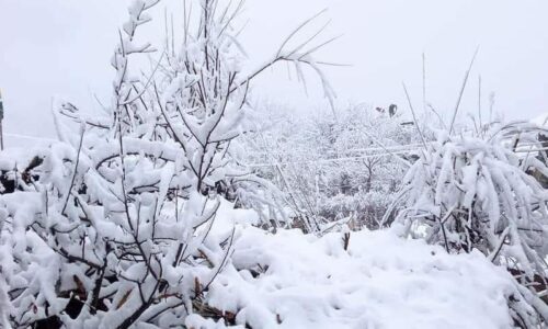गोरखाको चुम र नुब्री भ्याली आसपासका क्षेत्रमा हिमपात
