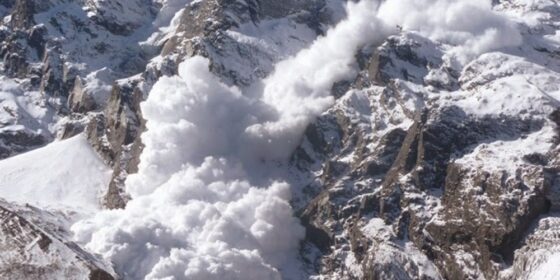 Over 120 Yak go missing in avalanche