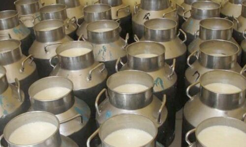  ७५ करोडभन्दा बढीको प्रशोधन गरिएका नौनी र धुलो दूध भण्डारणमा थन्कियो 