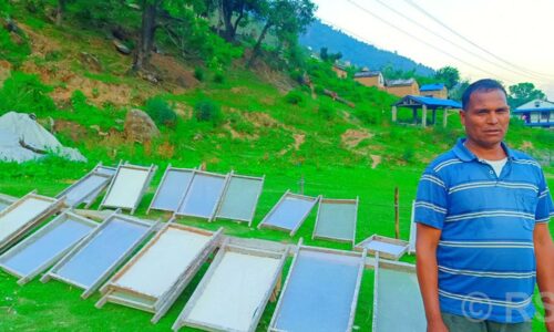 नेपाली हाते कागज उद्योगबाट गाउँमै मनग्य आम्दानी गर्दैछन् कालिकोटका युवा