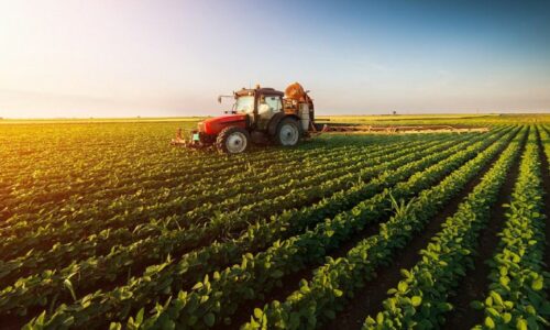 कृषि आधुनिकीकरण परियोजना : आठ हजारभन्दा बढी किसान आवद्ध